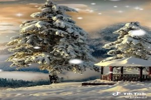 Good morning, all the best (Snow) - Guten Morgen, alles Gute