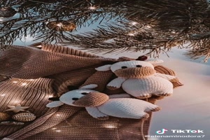 Christmas-Wintermix - Weihnachts-Wintermix