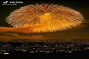 Firework - Feuerwerk