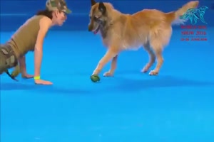 Psi Dogs