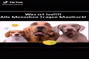 Was ist los