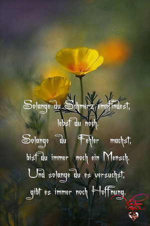 weiter