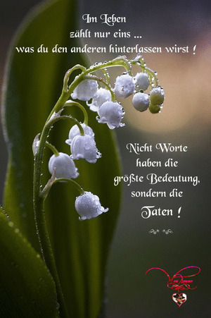weiter