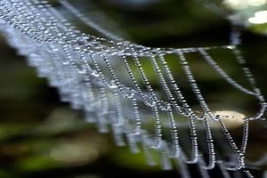 Tolle Bilder