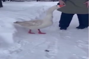 Da freut sich jemand