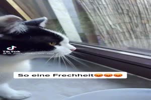 weiter