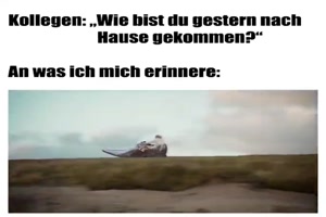 Wie bist du heimgekommen?