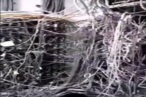 wer soll da noch durchblicken?