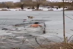 Hund gerettet