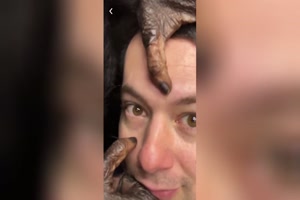Tierische Gesichtsbehandlung