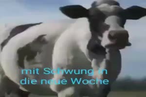 weiter