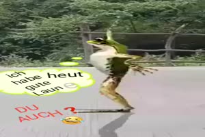 Gute Laune