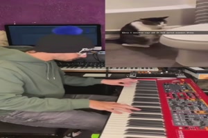Musik-Sesson mit der Katze