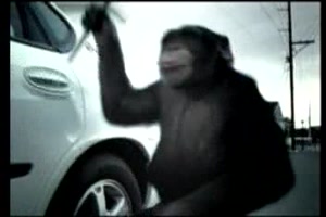 SuburbanTrunkmonkeyAd