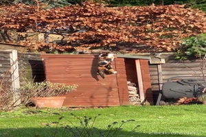 Schuppendach ist besetzt