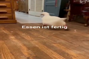 weiter