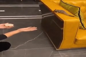 Wenn der nicht putzig ist