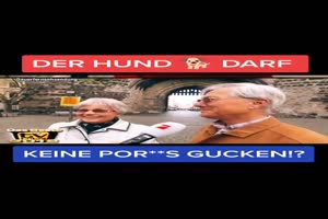 Der Hund darf alles gucken