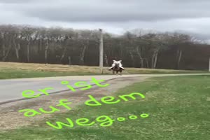 Der Osterhase ist auf dem Weg