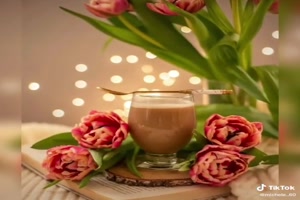 Buongiorno - Guten Morgen