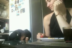 Der Hund ist doch klasse