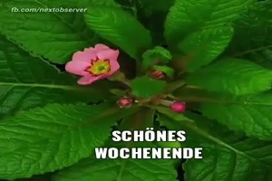 weiter