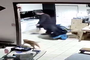 Die Katze wieder