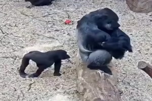Der Kleine traut sich was
