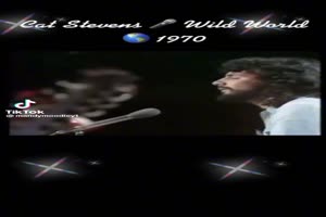 CAT STEVENS - Wild World