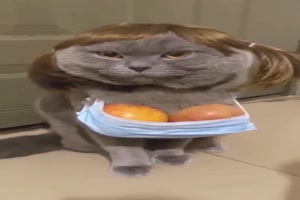 Da guckt aber einer