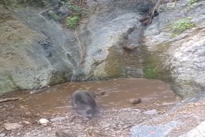 Wasserrutsche