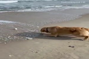 Blo nicht mit dem Wasser in Berhrung kommen