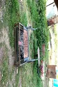 Cooler Grill