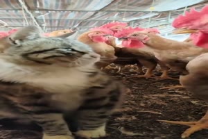 Respektschelle ausgeteilt