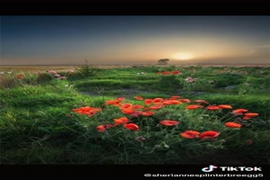 Beautiful world - Schne Welt