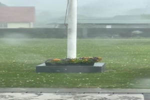 Harter Job f�r den Rasenroboter