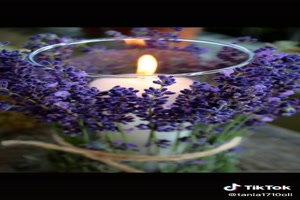 Lavendel