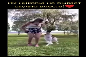 Ein toller Hund
