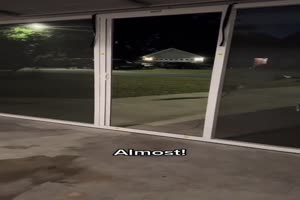 Hund hat nicht aufgepasst