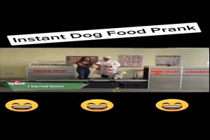 Dog Prank