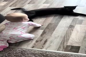 Gesprch zwischen Baby und Katze
