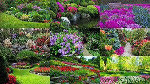 klicke hier, um die Datei herunterzuladen Gardens 4