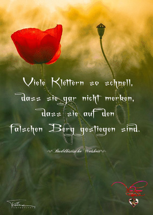 Viele klettern so schnell