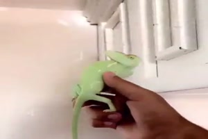 Jeder Versuch ein Treffer