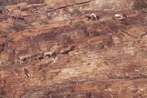 An der glatten Wand hoch