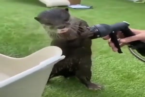 Spiel mit dem Wasser