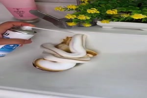 Wunderschaum