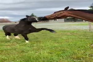 Zieh mir mal das Ding weg