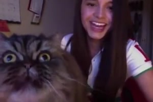 Katze will auch aufs Video