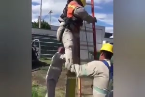 Idiots 41